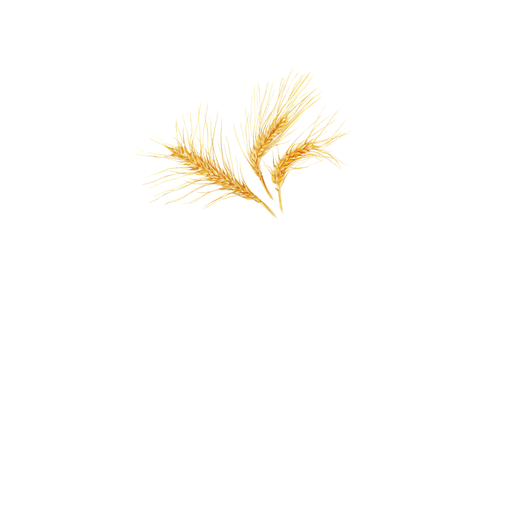 granodoro（グラノドーロ）